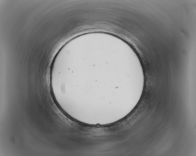 X0000112981516200909241210