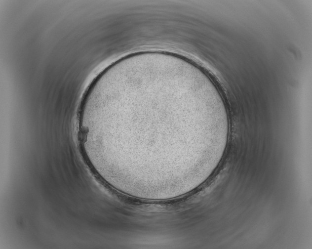 X0000112981517200909241210