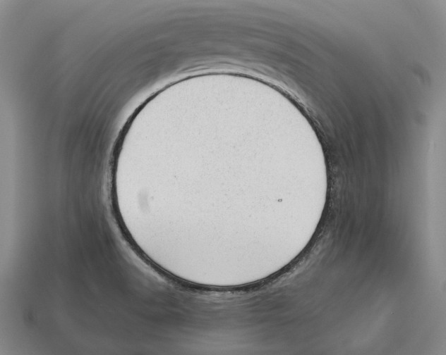 X0000112981518200909241210