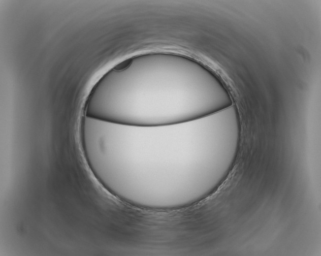 X0000112981520200909241210