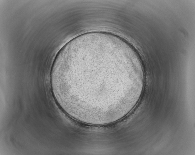 X0000112981521200909241210