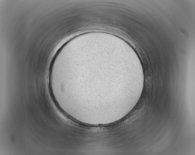 X0000112981523200909241210