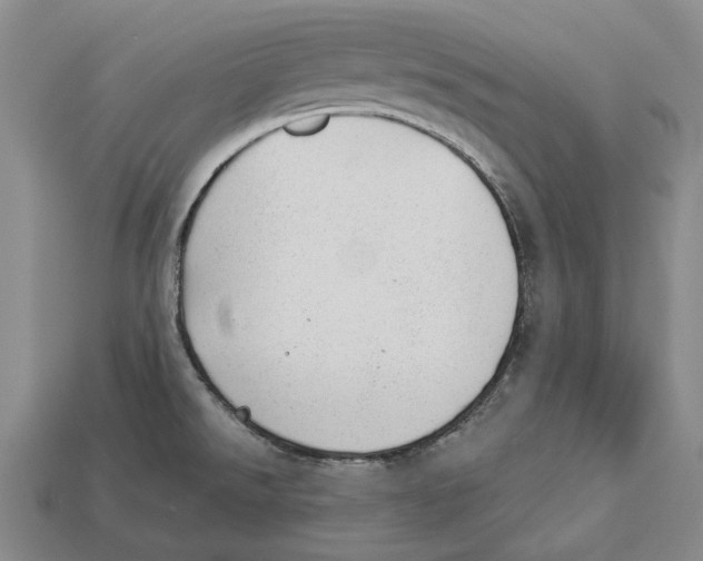 X0000112981526200909241210