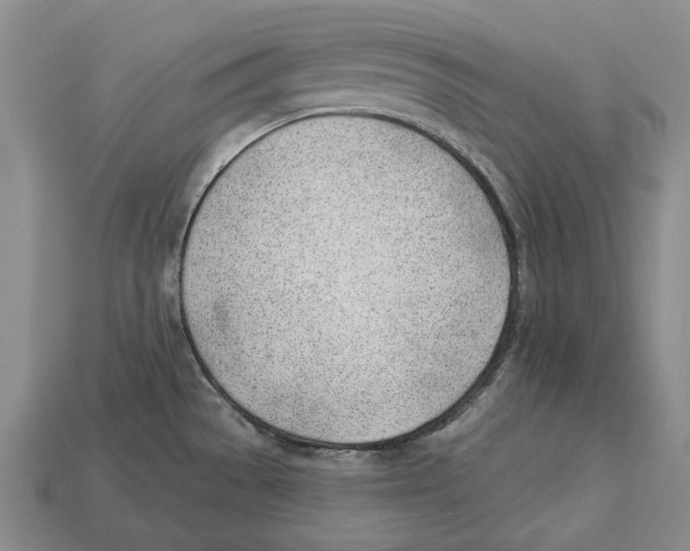 X0000112981529200909241210