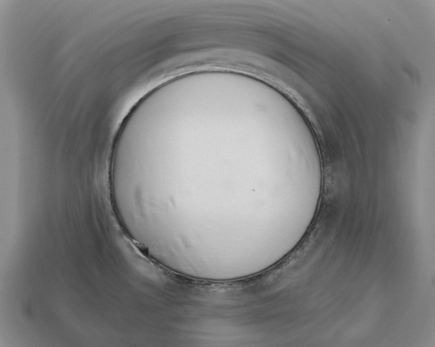 X0000112981530200909241210