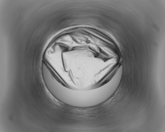 X0000112981532200909241210