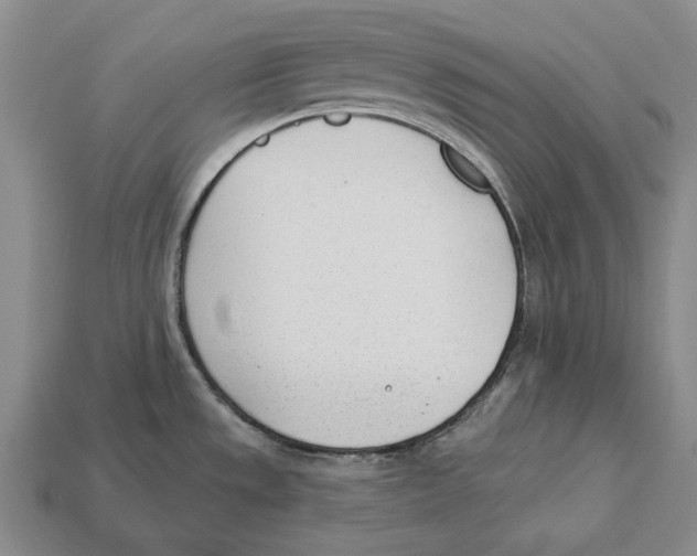 X0000112981533200909241210