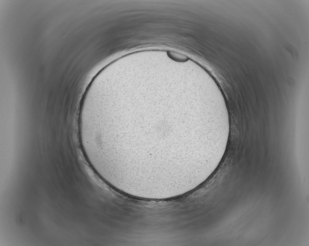 X0000112981534200909241210