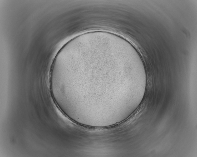 X0000112981535200909241210