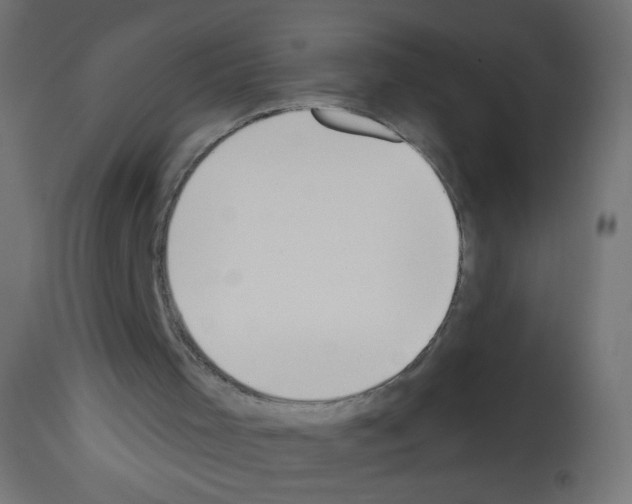 X0000112980001200910081120