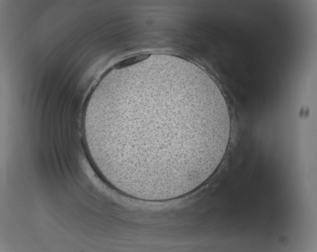 X0000112980002200910081120