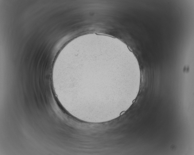 X0000112980003200910081120