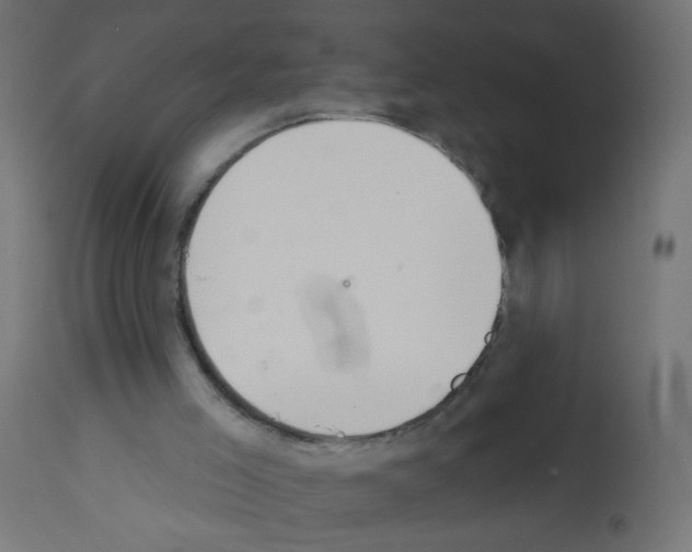 X0000112980005200910081120