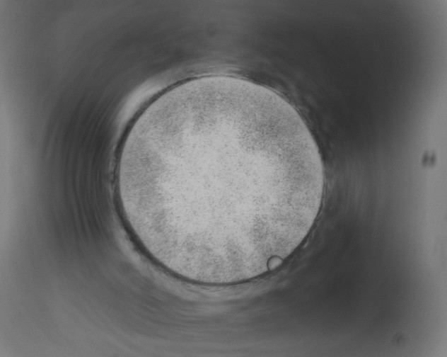X0000112980006200910081120