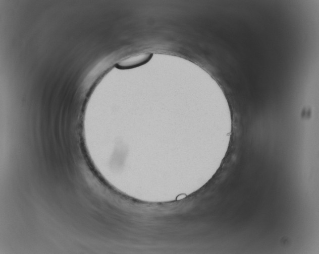 X0000112980007200910081120
