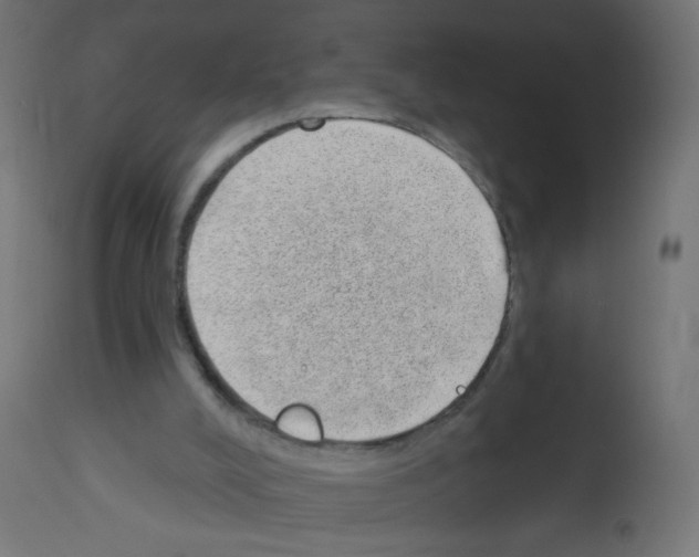 X0000112980008200910081120