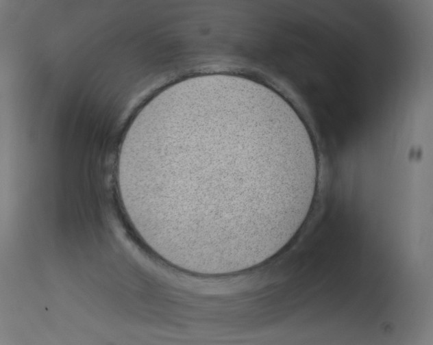 X0000112980010200910081120