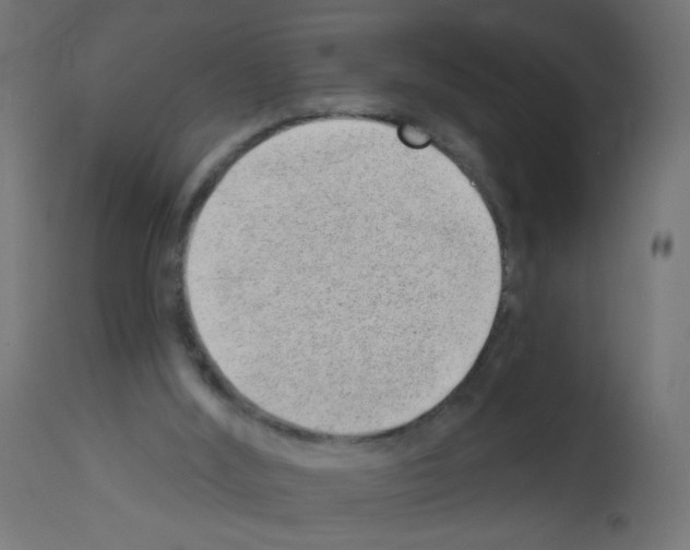 X0000112980012200910081120