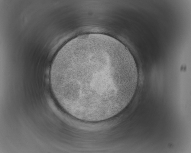 X0000112980014200910081120
