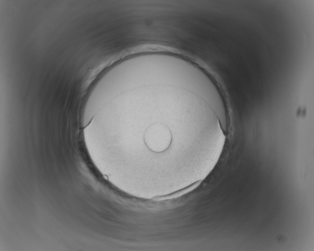 X0000112980015200910081120