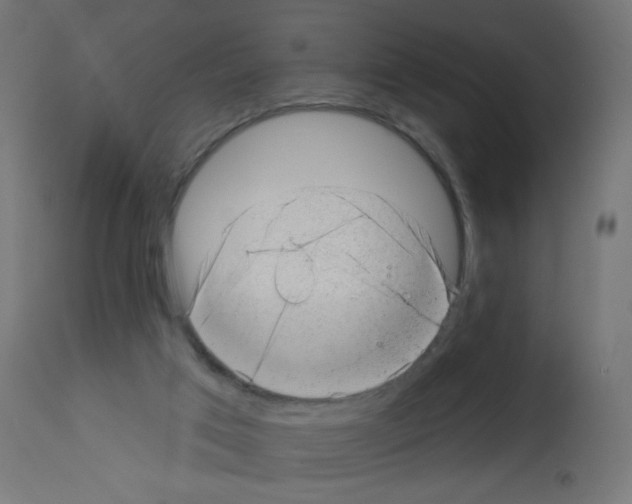 X0000112980017200910081120