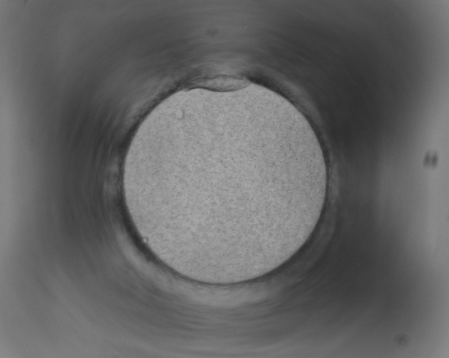 X0000112980018200910081120