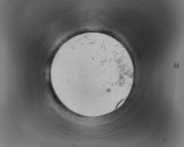 X0000112980019200910081120