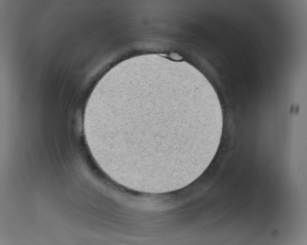 X0000112980020200910081120