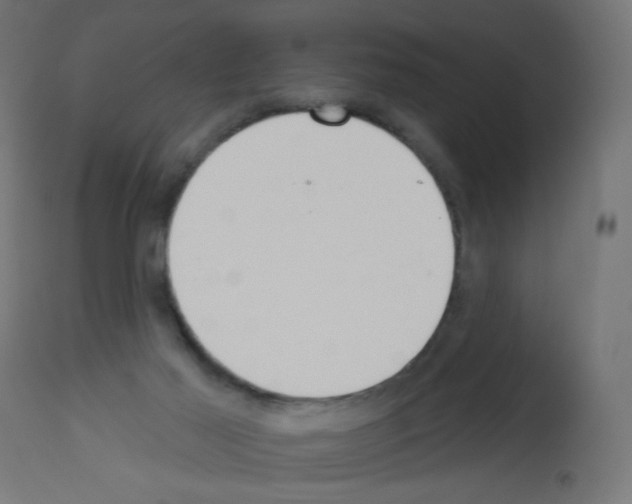X0000112980021200910081120