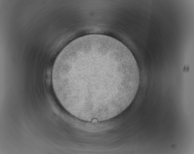 X0000112980022200910081120