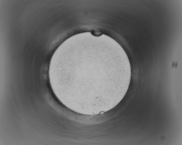 X0000112980023200910081120
