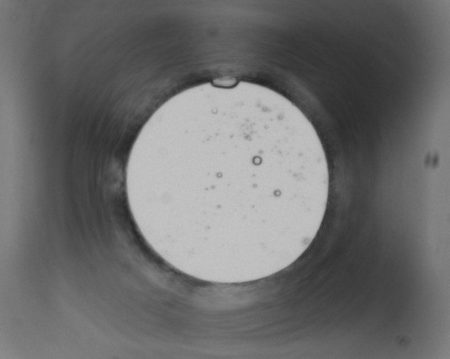 X0000112980025200910081120