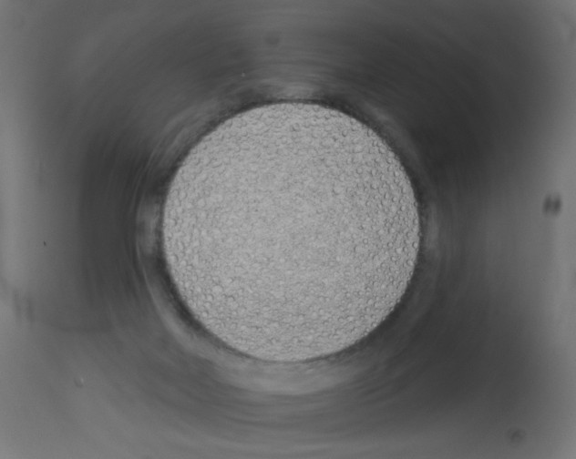 X0000112980026200910081120