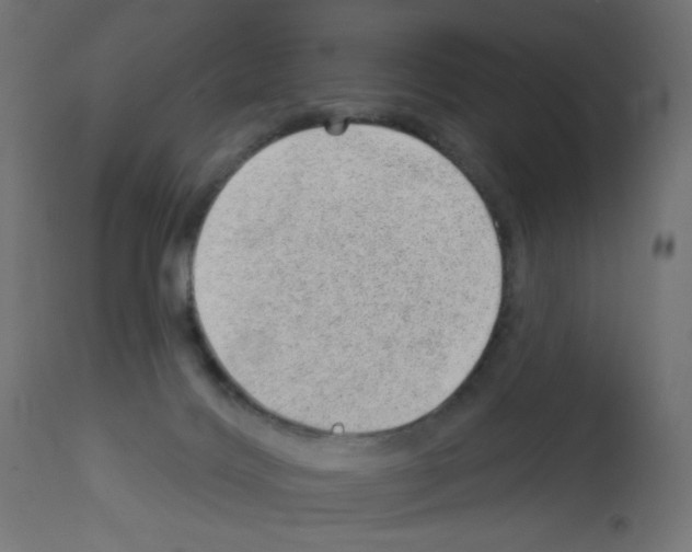 X0000112980028200910081120