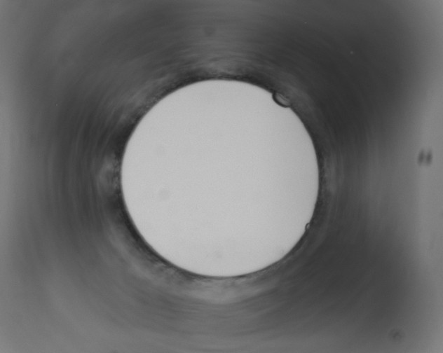 X0000112980029200910081120
