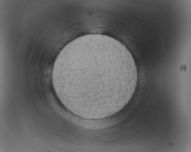 X0000112980030200910081120