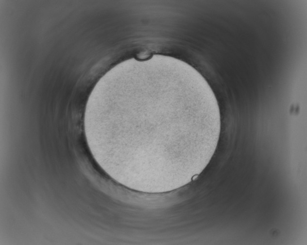 X0000112980031200910081120