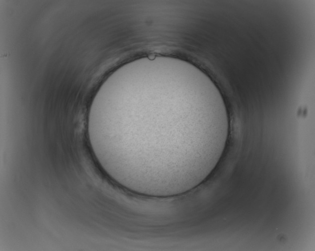 X0000112980032200910081120
