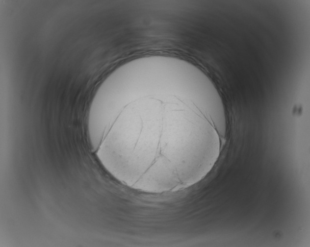 X0000112980033200910081120