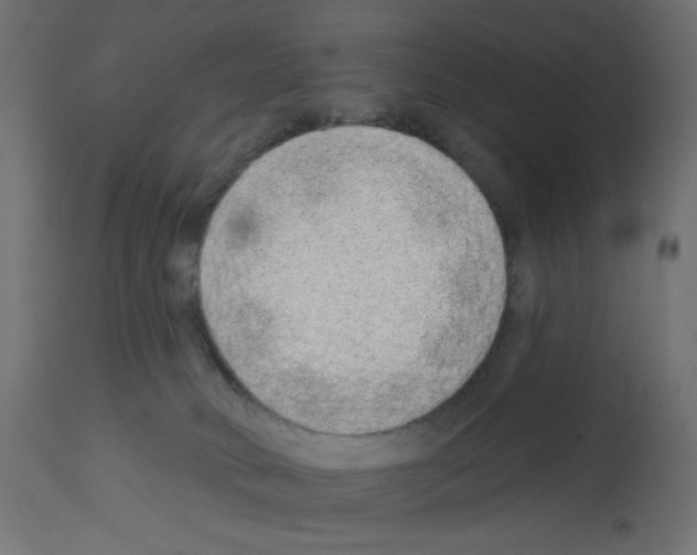 X0000112980034200910081120
