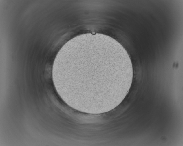 X0000112980036200910081120