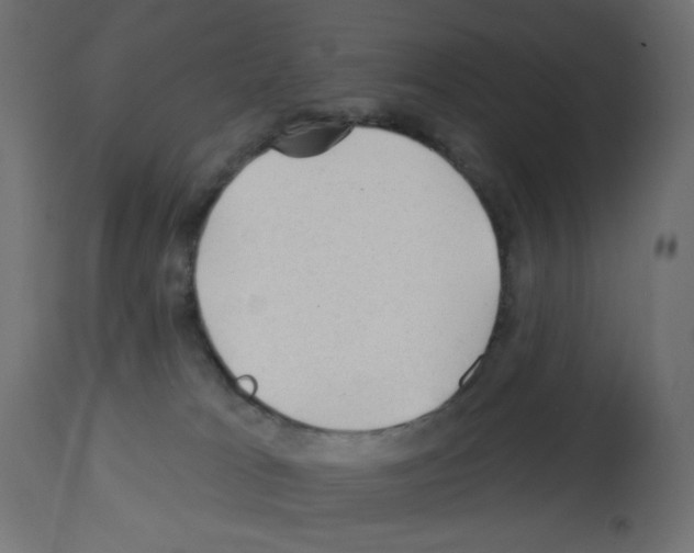 X0000112980037200910081120