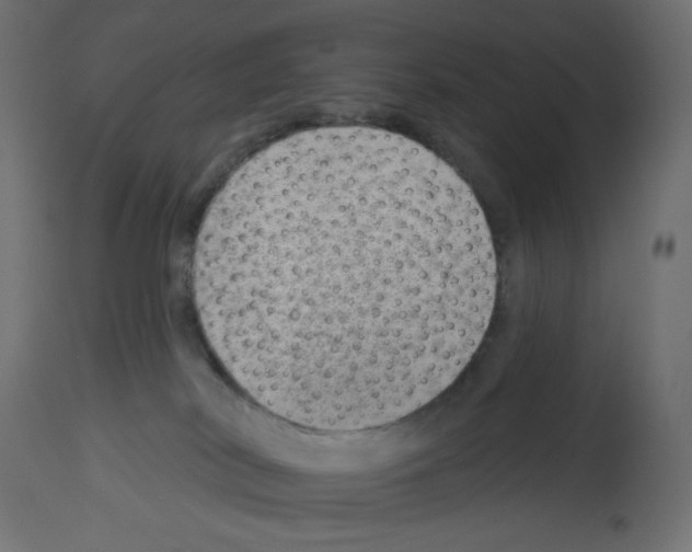 X0000112980038200910081120