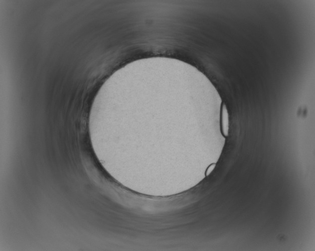 X0000112980039200910081120