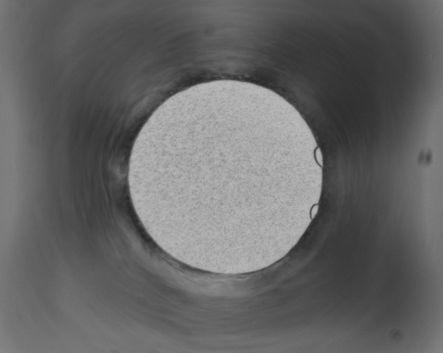 X0000112980040200910081120