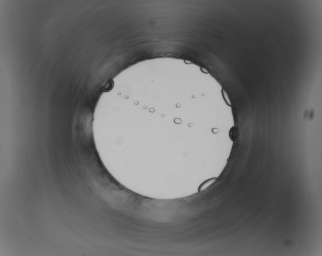 X0000112980041200910081120