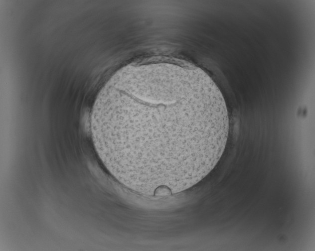 X0000112980042200910081120