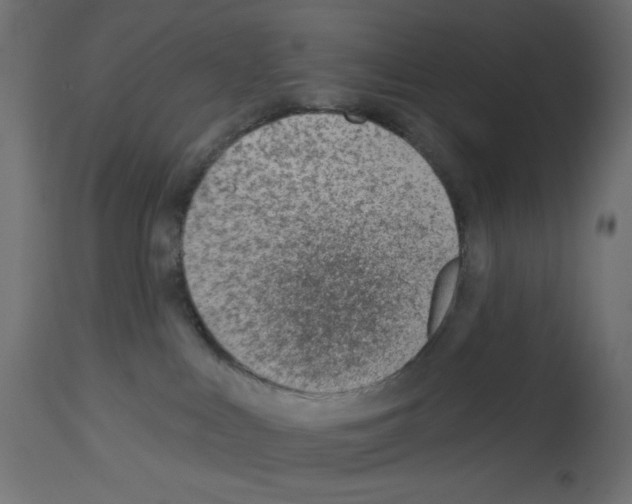 X0000112980043200910081120