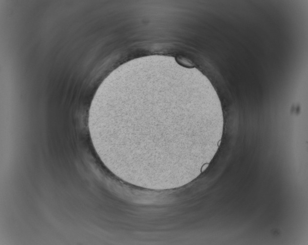 X0000112980044200910081120