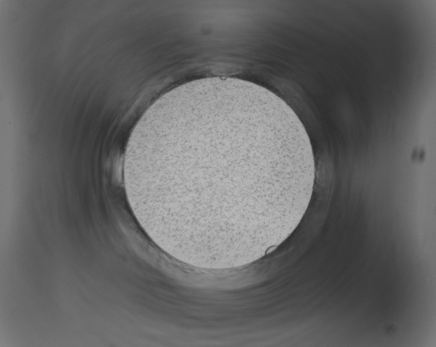 X0000112980046200910081120